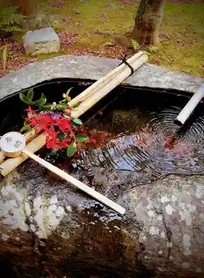 真正極楽寺(真如堂)の手水舎