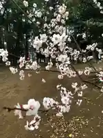 東蕗田天満社のその他建物