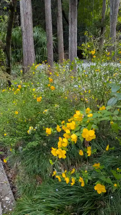 椎尾神社(大阪府)
