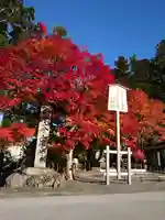 比叡山延暦寺の自然