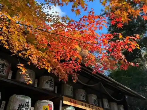 新海三社神社(長野県)