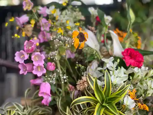 富知六所浅間神社の自然