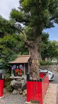 両國寺(柳谷観音大津別院)(滋賀県)