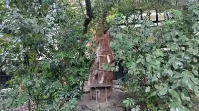 西院春日神社(京都府)