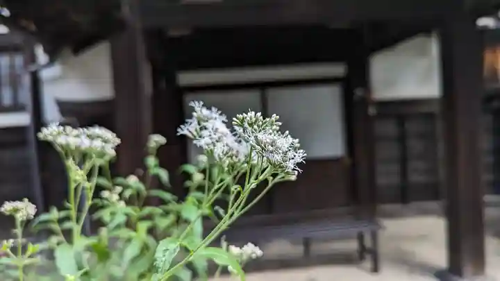 行願寺(革堂)(京都府)