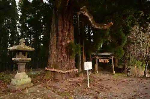 中畑神社(宮崎県)