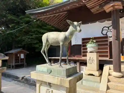 春日神社の{uncategorized: "未分類", other: "その他", undefined: "問題あり", building: "その他建物", grave: "お墓", sacred_gate: "鳥居", guardian: "狛犬", statue: "像", buddha: "仏像", history: "歴史", nature: "自然", garden: "庭園", animal: "動物", pagoda: "塔", temizu: "手水舎", mountain_gate: "山門・神門", sanctuary: "本殿・本堂", subordinate: "末社・摂社", art: "芸術", scenery: "景色", jizo: "地蔵", ema: "絵馬", goshuin: "御朱印", omikuji: "おみくじ", items: "授与品その他", amulet: "お守り", goshuincho: "御朱印帳", eats: "食事", festival: "お祭り", votive_dance: "神楽", shichigosan: "七五三参", wedding: "結婚式", experience: "体験その他", initially: "初詣", around: "周辺", anti_infection: "感染症対策"}