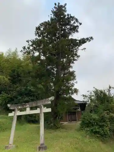 日枝神社の鳥居