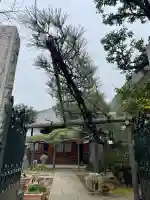 妙情寺の{uncategorized: "未分類", other: "その他", undefined: "問題あり", building: "その他建物", grave: "お墓", sacred_gate: "鳥居", guardian: "狛犬", statue: "像", buddha: "仏像", history: "歴史", nature: "自然", garden: "庭園", animal: "動物", pagoda: "塔", temizu: "手水舎", mountain_gate: "山門・神門", sanctuary: "本殿・本堂", subordinate: "末社・摂社", art: "芸術", scenery: "景色", jizo: "地蔵", ema: "絵馬", goshuin: "御朱印", omikuji: "おみくじ", items: "授与品その他", amulet: "お守り", goshuincho: "御朱印帳", eats: "食事", festival: "お祭り", votive_dance: "神楽", shichigosan: "七五三参", wedding: "結婚式", experience: "体験その他", initially: "初詣", around: "周辺", anti_infection: "感染症対策"}