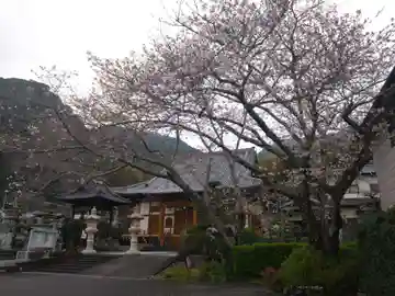 竜国寺(静岡県)