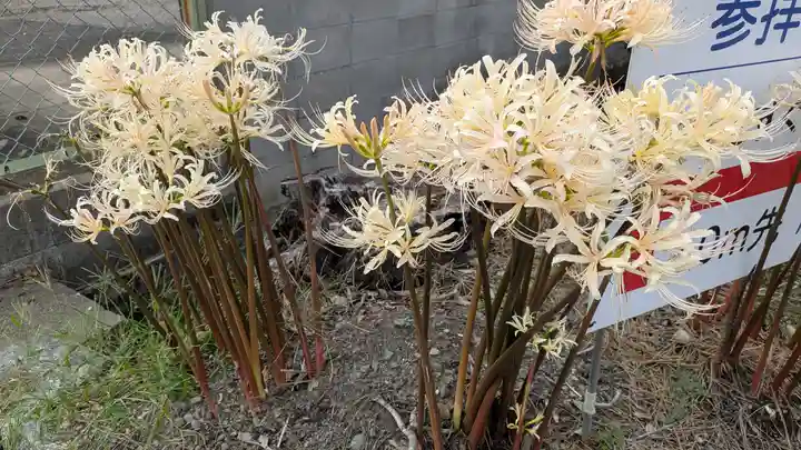 玉田神社(京都府)