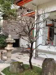 千葉神社の庭園