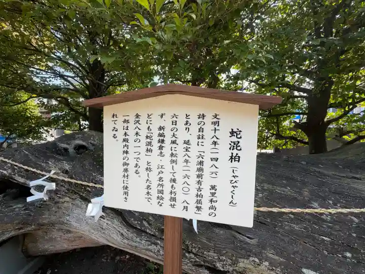 瀬戸神社の{uncategorized: "未分類", other: "その他", undefined: "問題あり", building: "その他建物", grave: "お墓", sacred_gate: "鳥居", guardian: "狛犬", statue: "像", buddha: "仏像", history: "歴史", nature: "自然", garden: "庭園", animal: "動物", pagoda: "塔", temizu: "手水舎", mountain_gate: "山門・神門", sanctuary: "本殿・本堂", subordinate: "末社・摂社", art: "芸術", scenery: "景色", jizo: "地蔵", ema: "絵馬", goshuin: "御朱印", omikuji: "おみくじ", items: "授与品その他", amulet: "お守り", goshuincho: "御朱印帳", eats: "食事", festival: "お祭り", votive_dance: "神楽", shichigosan: "七五三参", wedding: "結婚式", experience: "体験その他", initially: "初詣", around: "周辺", anti_infection: "感染症対策"}