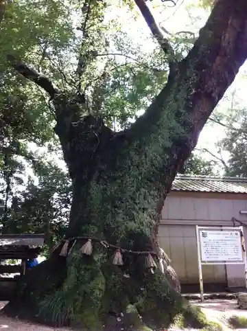 神明社(三重県)