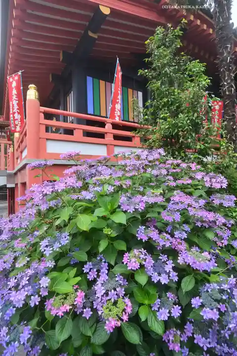 高幡不動尊 金剛寺(東京都)
