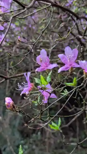 石山寺(滋賀県)