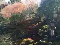 霊鑑寺門跡のその他建物