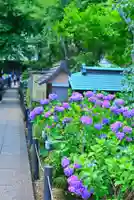 妙楽寺(神奈川県)