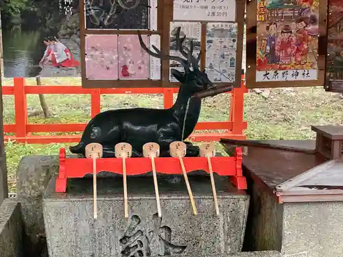 大原野神社の手水舎
