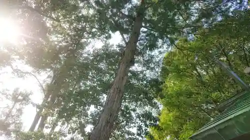 神明社（国府宮神明社）の景色