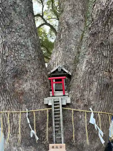 加藤神社(熊本県)