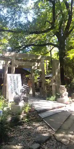 伏見神宝神社の鳥居