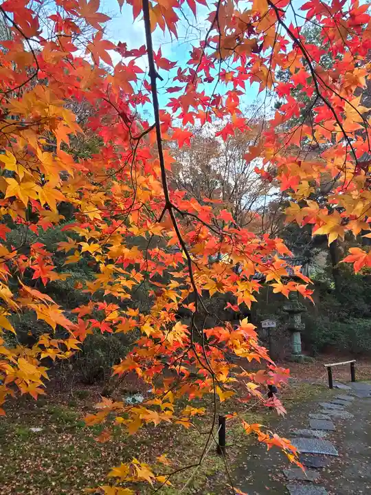 青蓮院門跡(京都府)