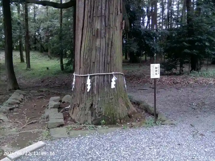間々田八幡宮(栃木県)