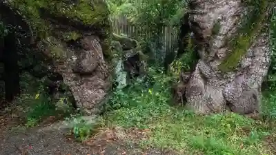 伊勢神宮外宮（豊受大神宮）(三重県)