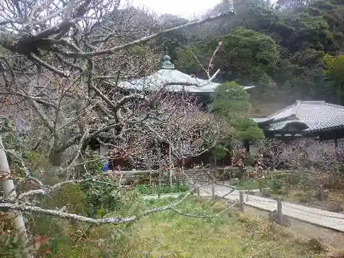 瑞泉寺の庭園