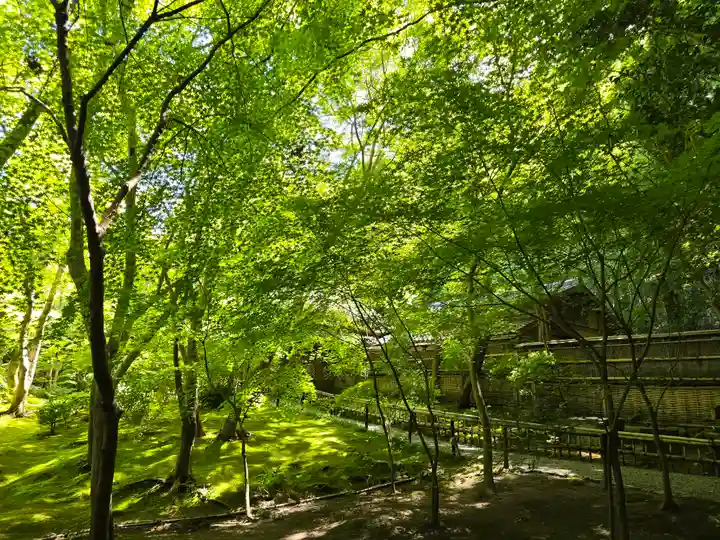 祇王寺(京都府)