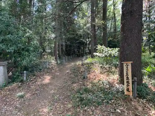 三ケ尻八幡神社(埼玉県)