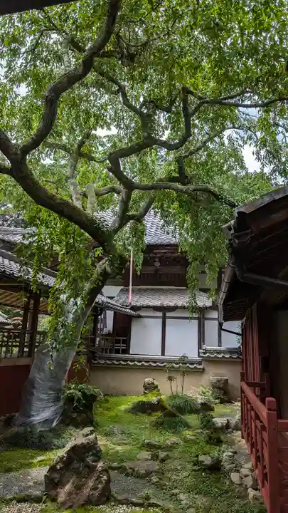 十輪寺(京都府)
