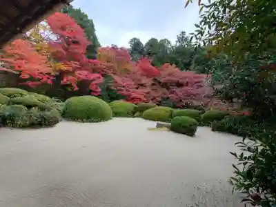 詩仙堂(丈山寺)(京都府)