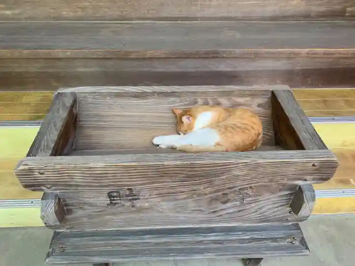 真野寺(千葉県)