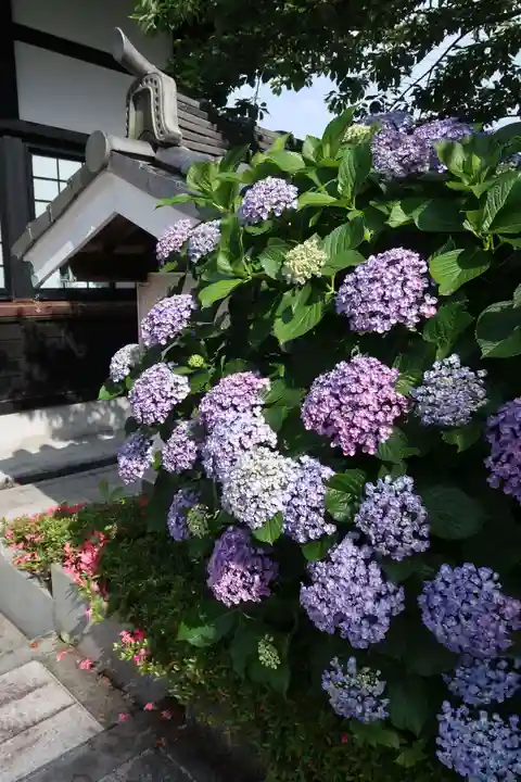 地持院(静岡県)