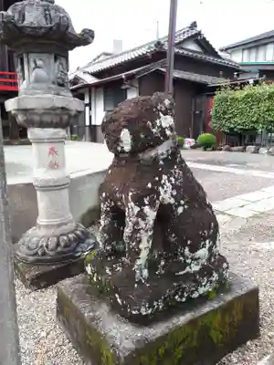 増田神社の狛犬