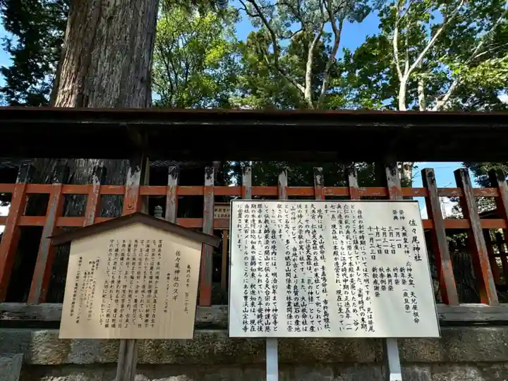 佐々尾神社(京都府)