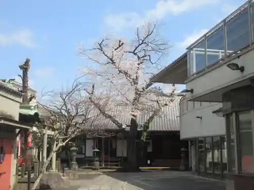 観明寺(東京都)