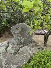 金崎神社(香川県)