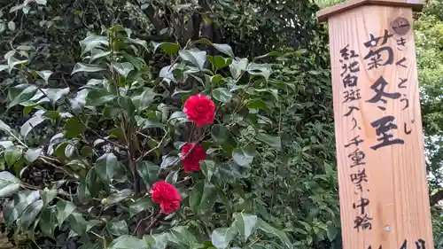 城南宮(京都府)