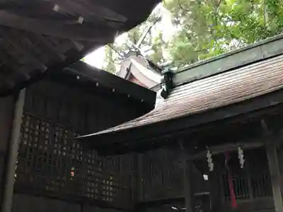 湯泉神社の本殿・本堂