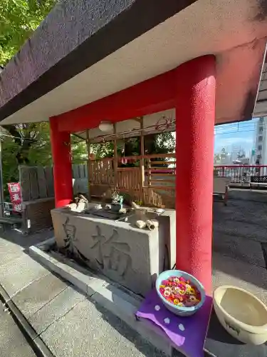 徳島眉山天神社(徳島県)