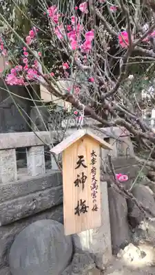 小野照崎神社の自然