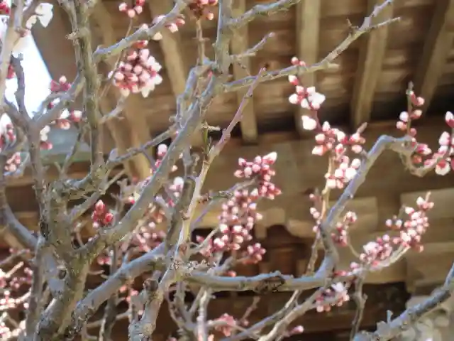 極楽寺(霊鷲山感應院極楽律寺)のその他建物