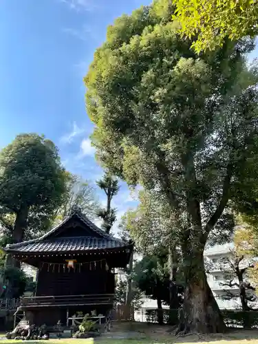 西向天神社(東京都)