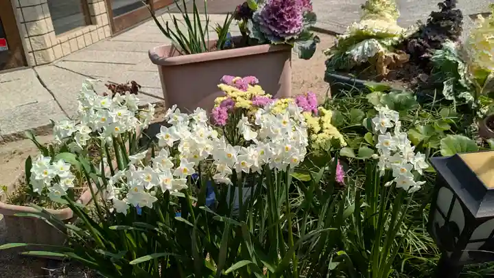 光徳寺(大阪府)