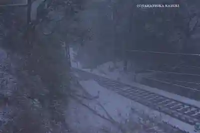 大山阿夫利神社(神奈川県)