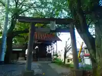 八雲神社(松山神社 境外末社)の鳥居