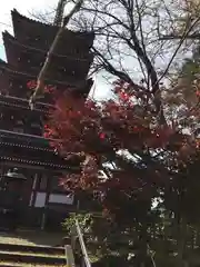 本土寺の建物その他